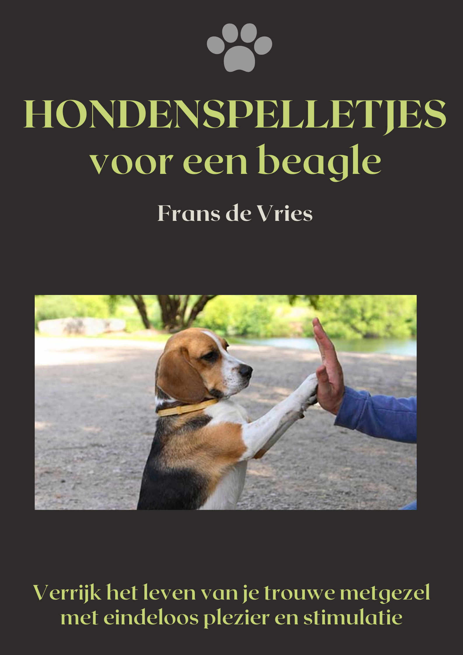 Hondenspelletjes voor je beagle