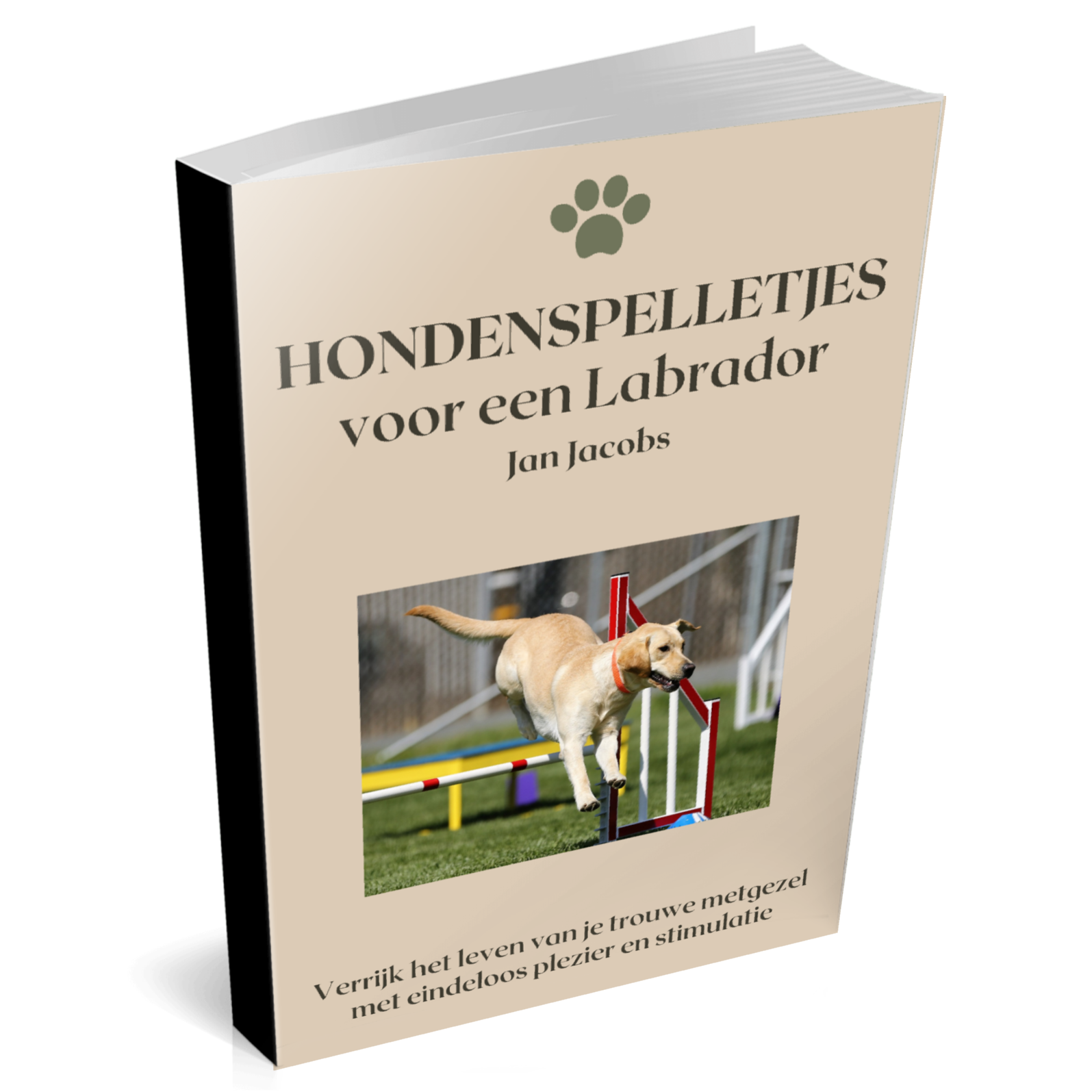 Hondenspelletjes voor je Labrador