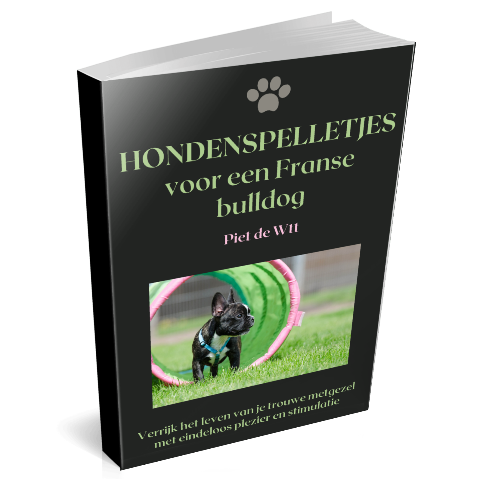 Hondenspelletjes voor je Franse bulldog