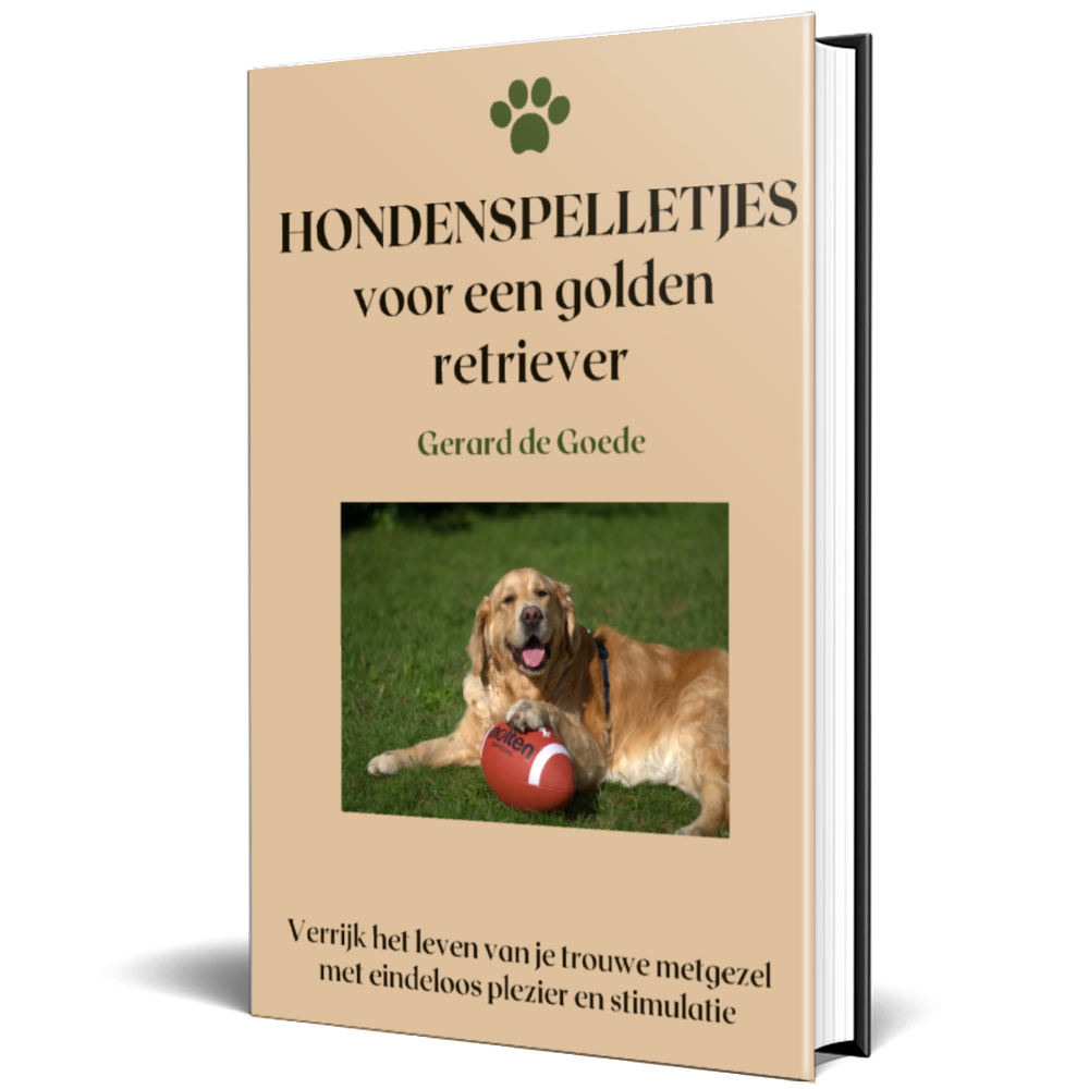 Hondenspelletjes voor je golden retriever