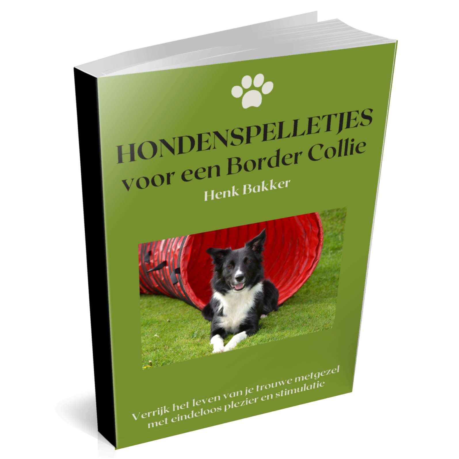 Hondenspelletjes voor je border collie