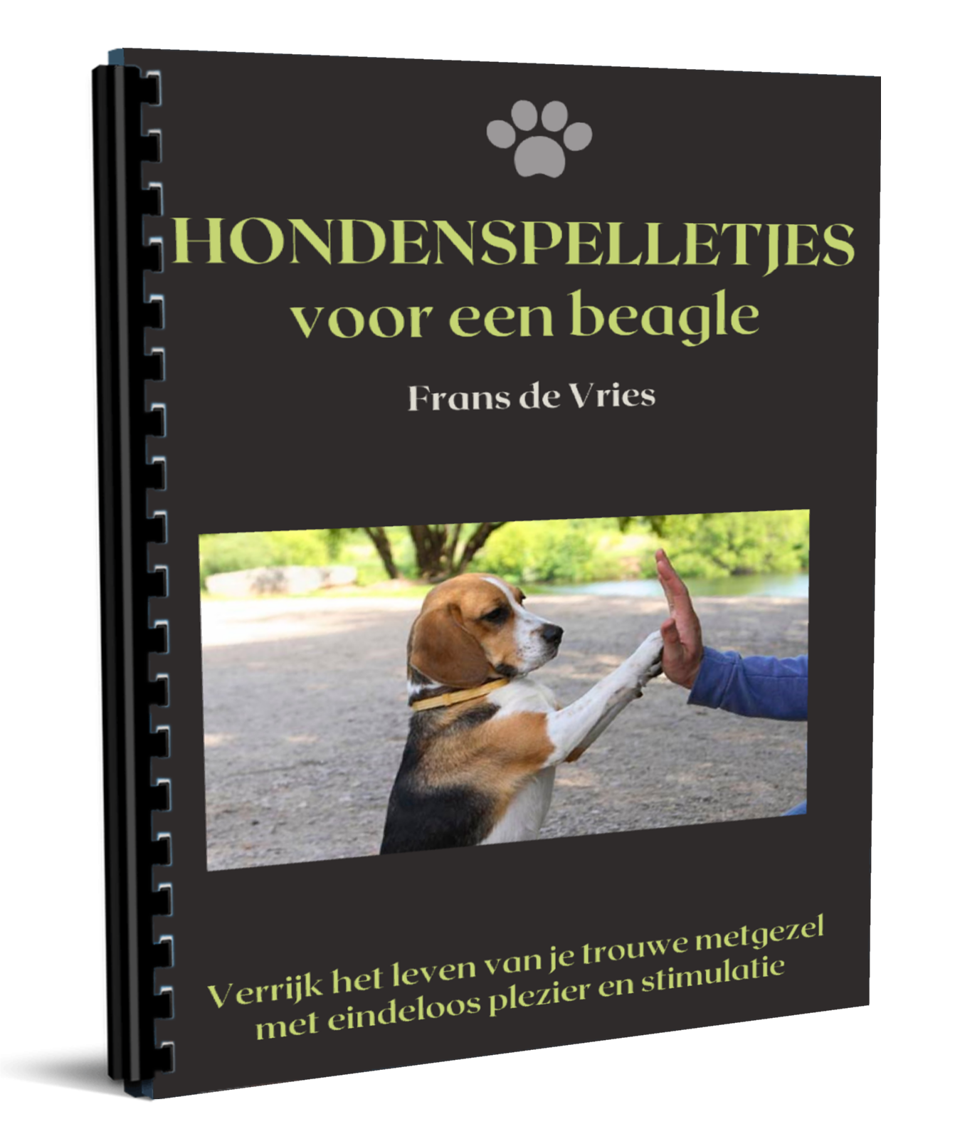 Hondenspelletjes voor je beagle