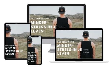 Online training:  het geheim van minder stress in je leven.