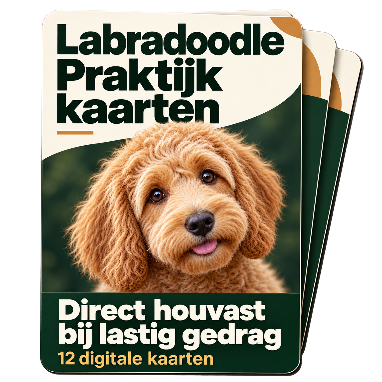 Labradoodle Praktijkkaarten 